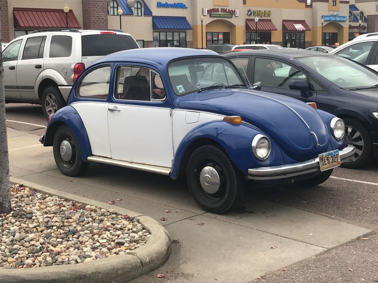 VW Bug