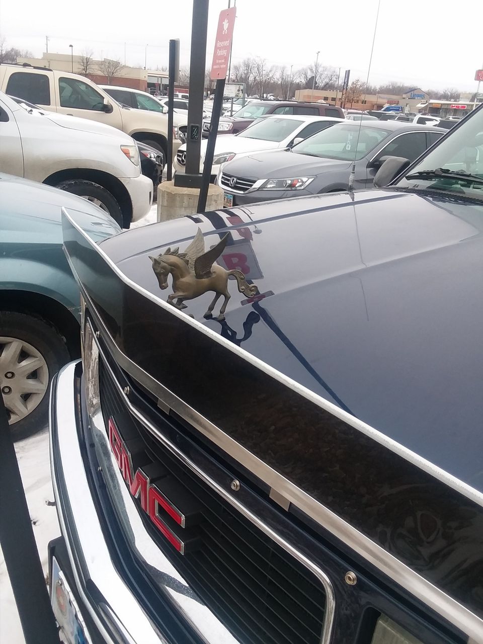 Awesome Hood Ornament