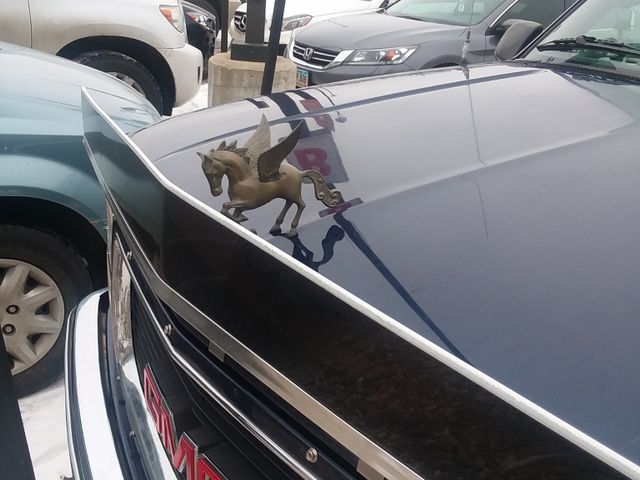 Awesome Hood Ornament