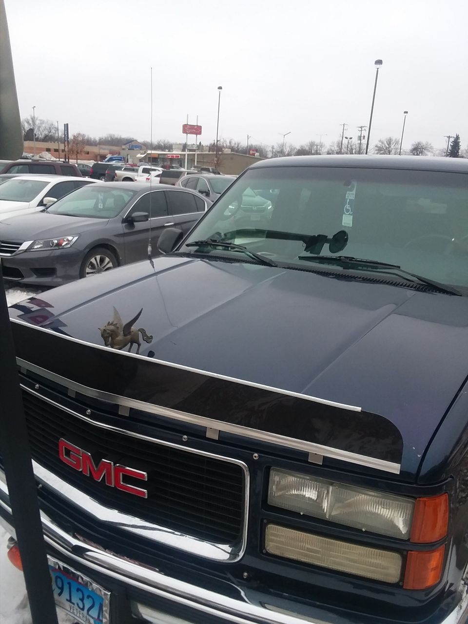 Awesome Hood Ornament