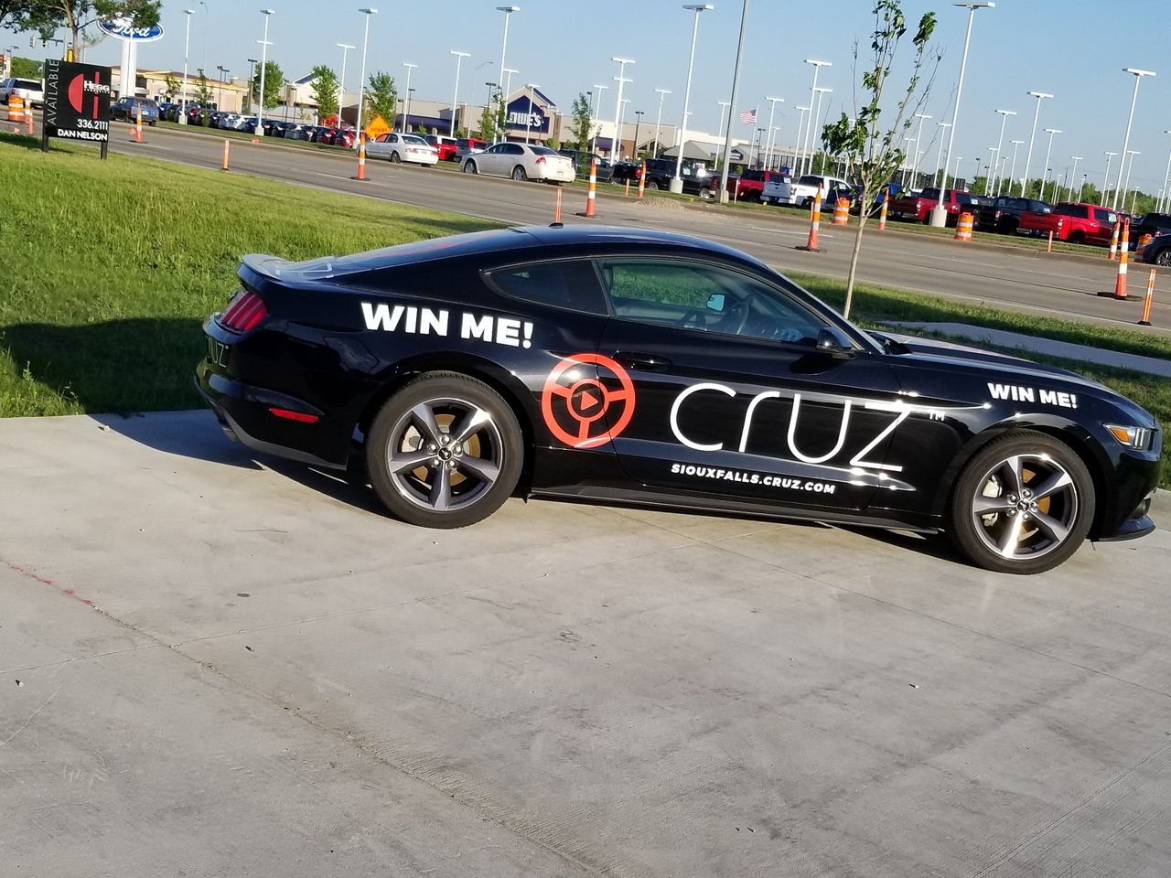 CRUZ Mustang