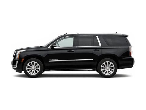 2017 Cadillac Escalade Platinum Photo