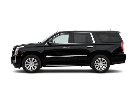 2017 Cadillac Escalade Standard Photo