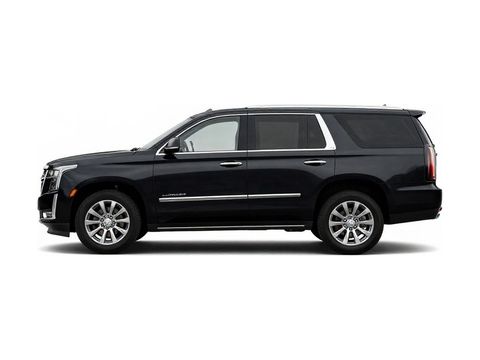 2019 Cadillac Escalade Platinum Photo