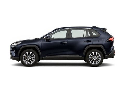 2019 Toyota RAV4 Hybrid LE Photo