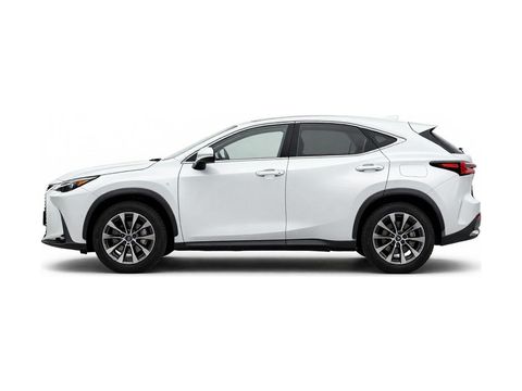 2024 Lexus NX 250 Premium Photo