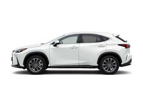 2024 Lexus NX 350h Premium Photo