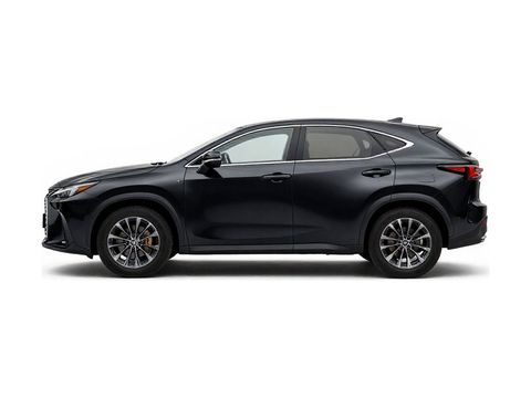 2025 Lexus NX 350 F SPORT Handling Photo