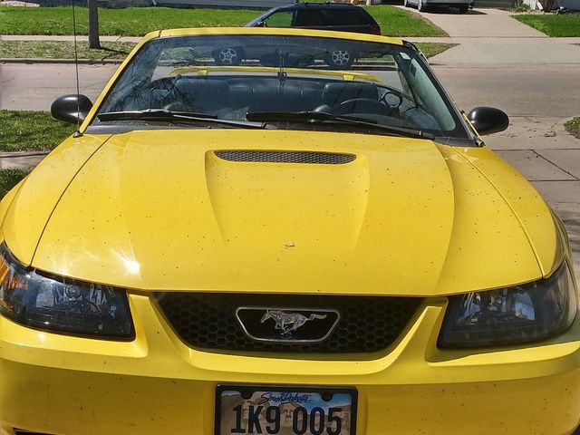 2001 Ford Mustang Base, Zinc Yellow Clearcoat (Yellow), Rear Wheel