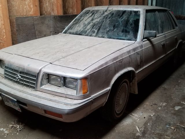 1986 Plymouth Caravelle SE, Gold, Front Wheel