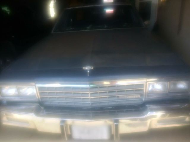 1981 Chevrolet Caprice, Blue, Rear Wheel