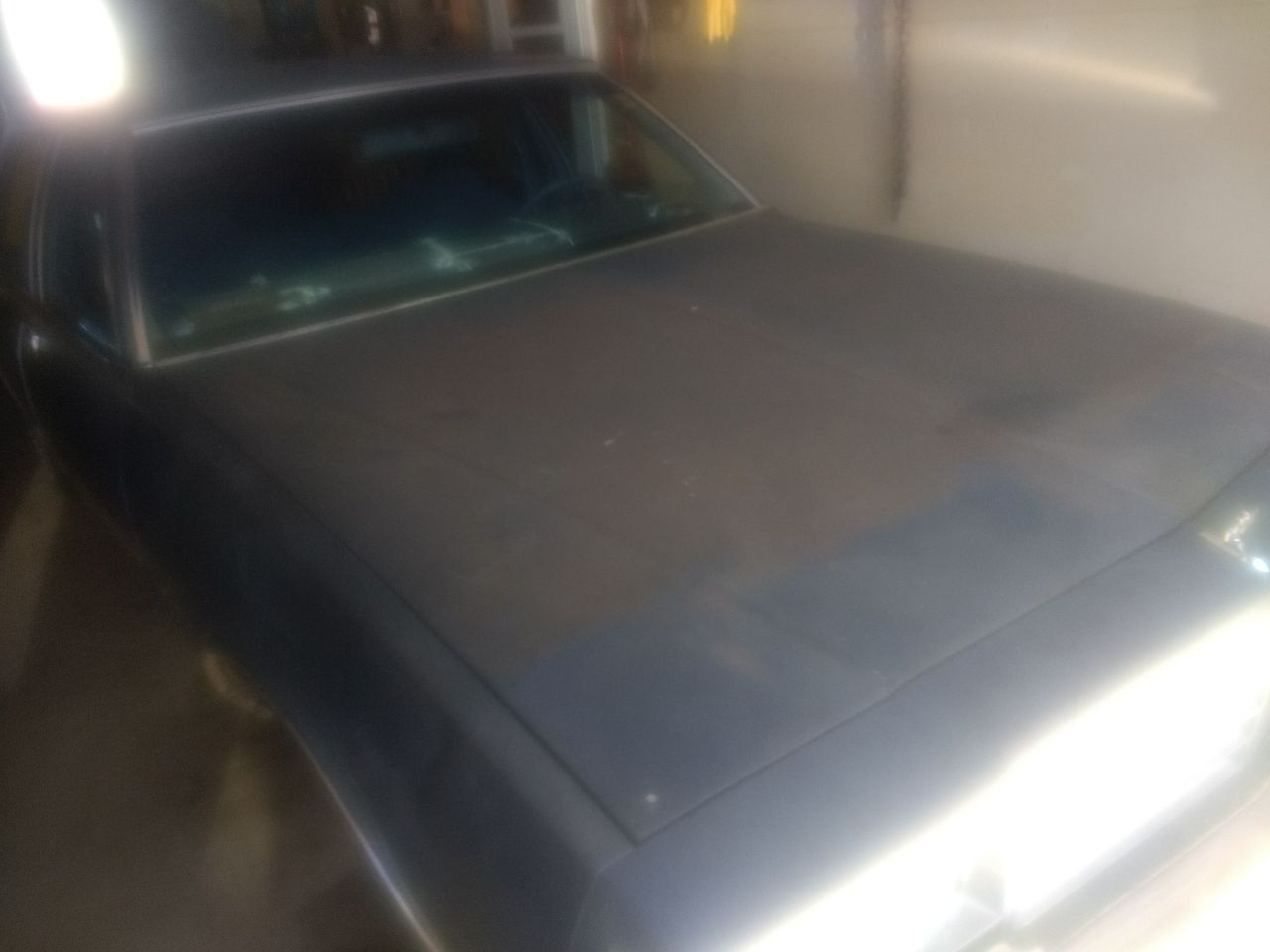 1981 Chevrolet Caprice | Worthington, MN, Blue, Rear Wheel