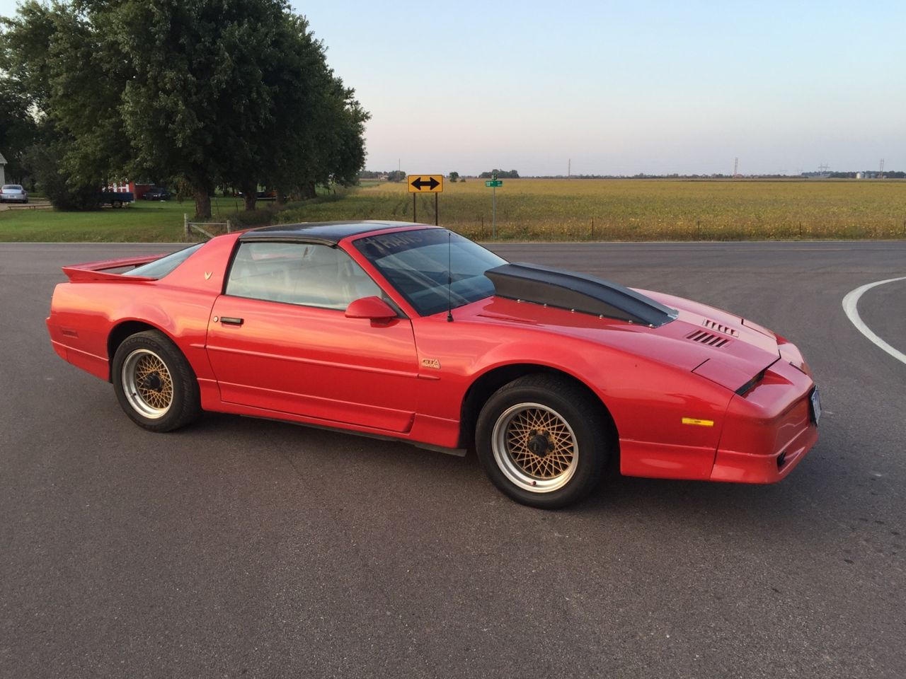 1989 Pontiac Firebird Trans Am GTA | Watertown, SD, Red & Orange, Rear Wheel