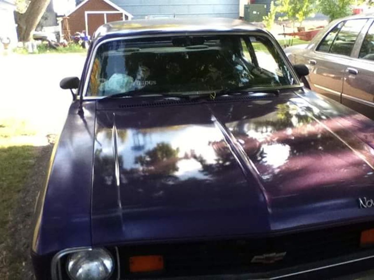 1974 Chevrolet Nova | Magnolia, MN, Purple