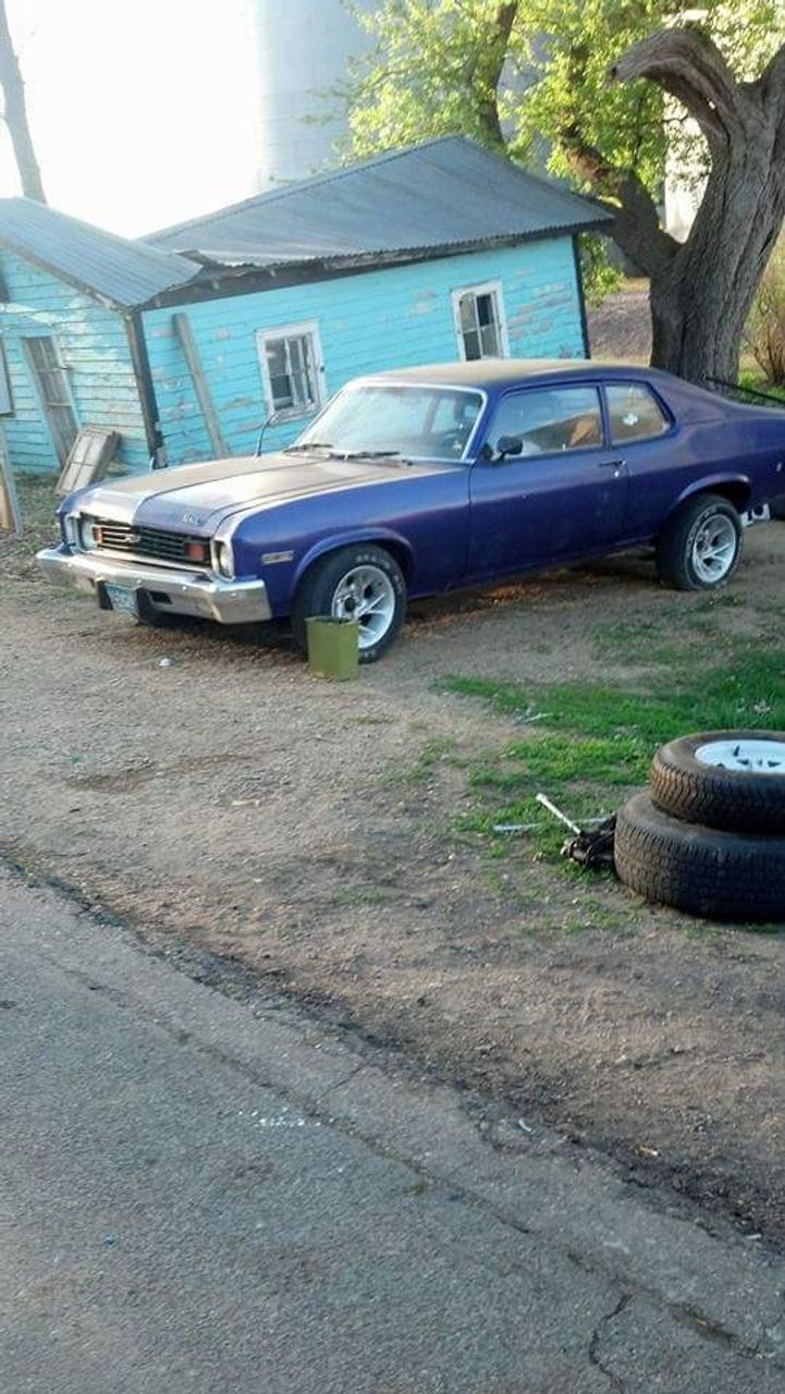 1974 Chevrolet Nova | Magnolia, MN, Purple