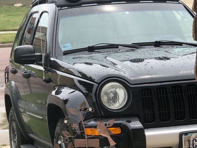 2003 Jeep Liberty Renegade, Black Clearcoat (Black), 4 Wheel