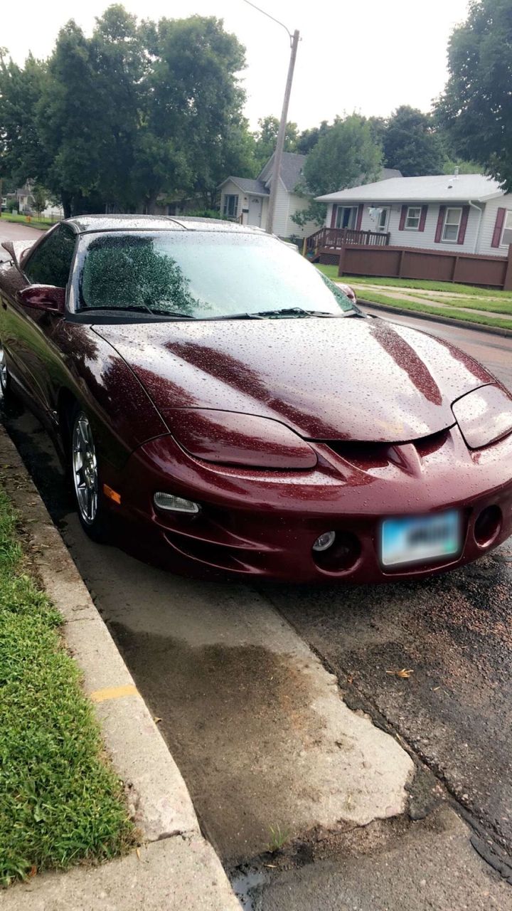 2000 Pontiac Firebird Trans Am | Sioux Falls, SD, Maple Red Metallic (Red & Orange), Rear Wheel