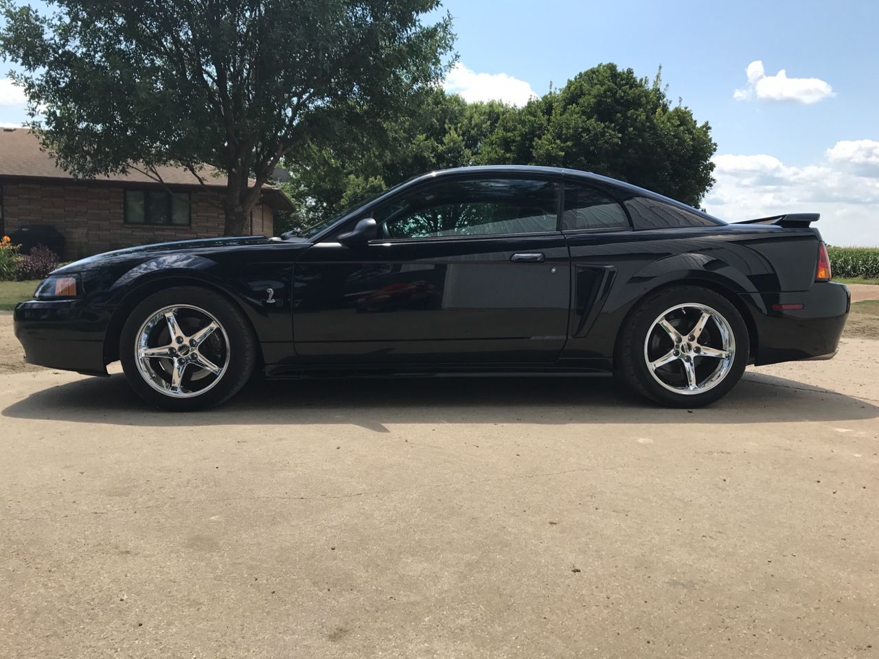 2001 Ford Mustang SVT Cobra Base | Larchwood, IA, Black Clearcoat (Black), Rear Wheel