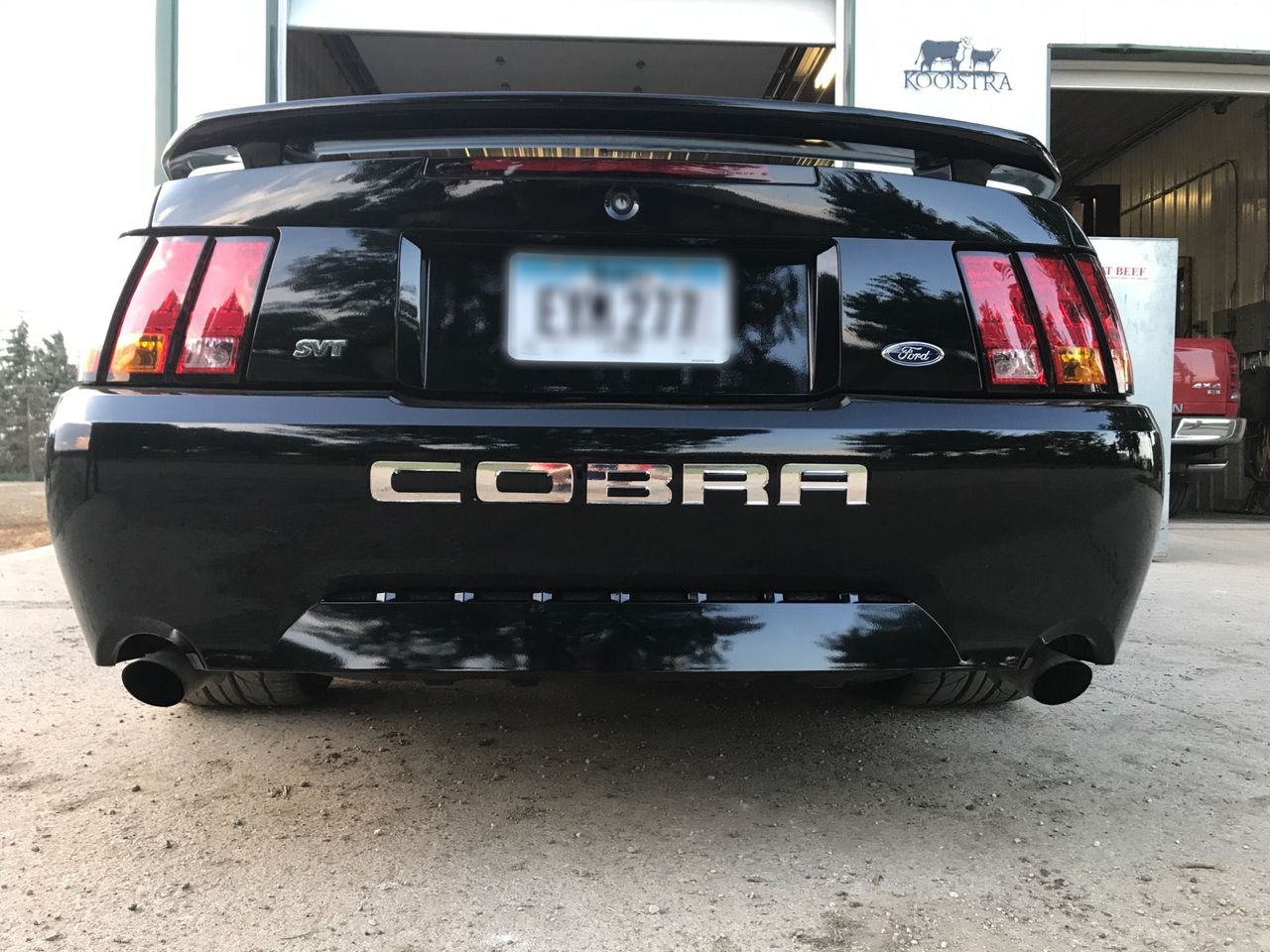 2001 Ford Mustang SVT Cobra Base | Larchwood, IA, Black Clearcoat (Black), Rear Wheel