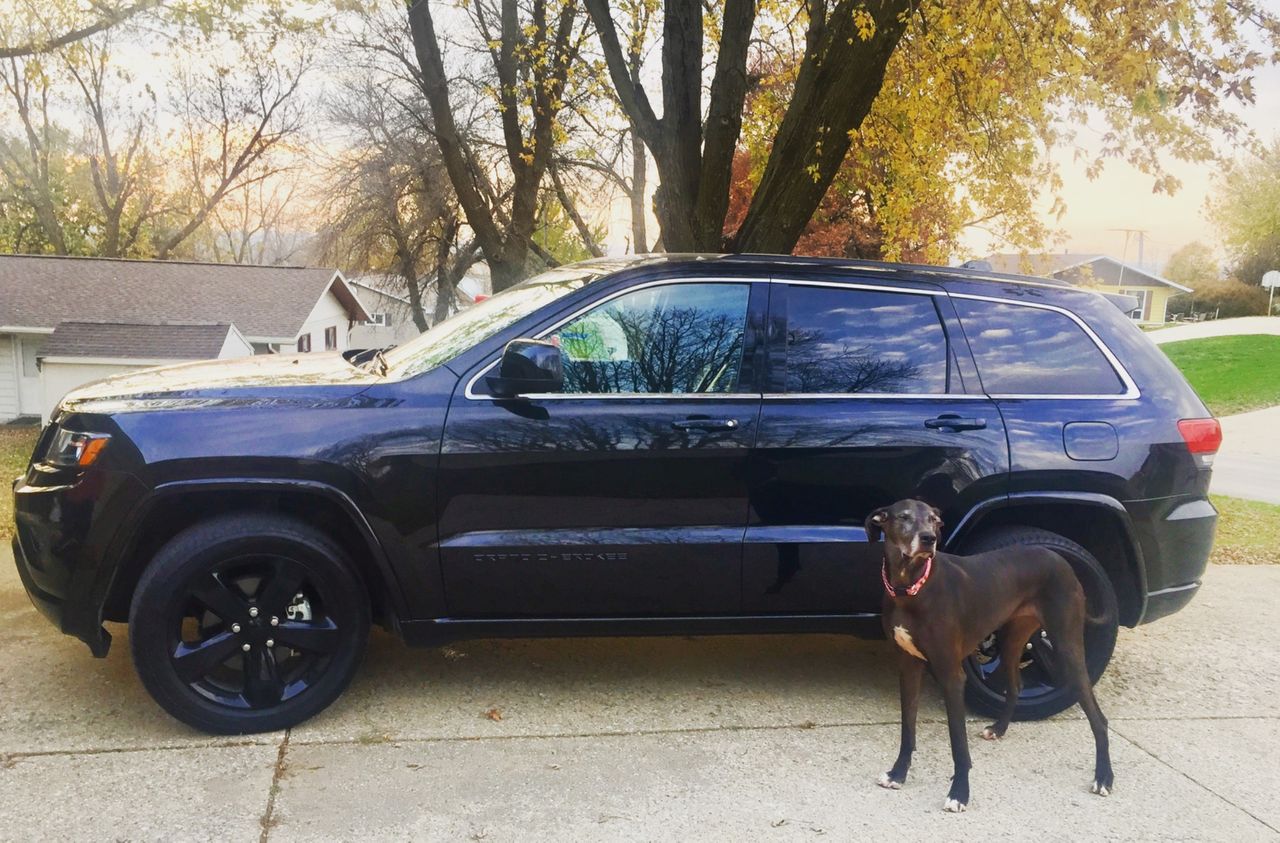 2015 Jeep Grand Cherokee | Denison, IA, Brilliant Black Crystal Pearl Coat (Black)