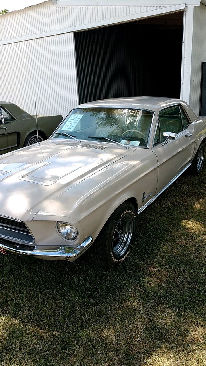 1968 Ford Mustang | Lennox, SD, Off White, Rear Wheel