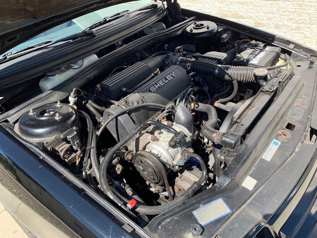 1987 Dodge Shadow Base | Toledo, OH, Black, Front Wheel