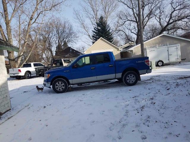 2009 Ford F-150, Blue Flame Clearcoat Metallic/Brilliant Silver (Blue)