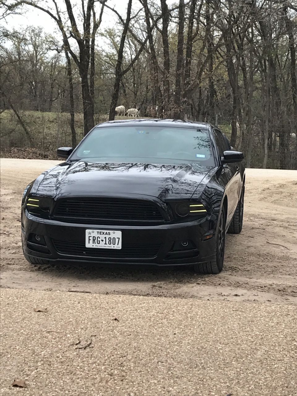 2014 Ford Mustang | Waco, TX, Black (Black), Rear Wheel