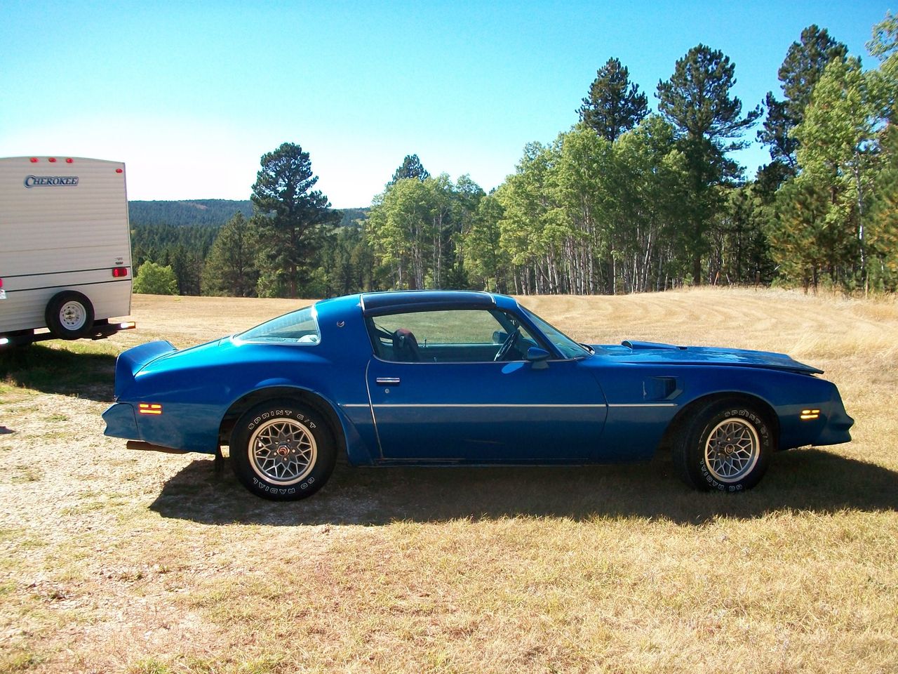 1978 Pontiac Firebird | Sioux Falls, SD, Light Blue, Rear Wheel