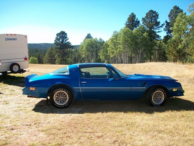 1978 Pontiac Firebird, Light Blue, Rear Wheel
