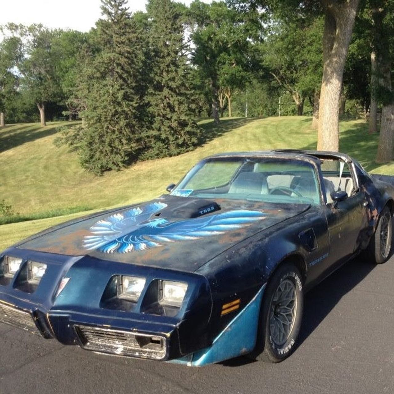 1979 Pontiac Firebird | Sioux Falls, SD, Dark Blue, Rear Wheel