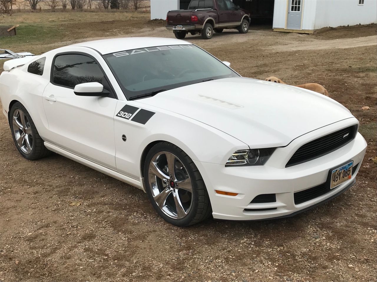 2013 Ford Mustang GT Premium | Baltic, SD, Performance White (White), Rear Wheel