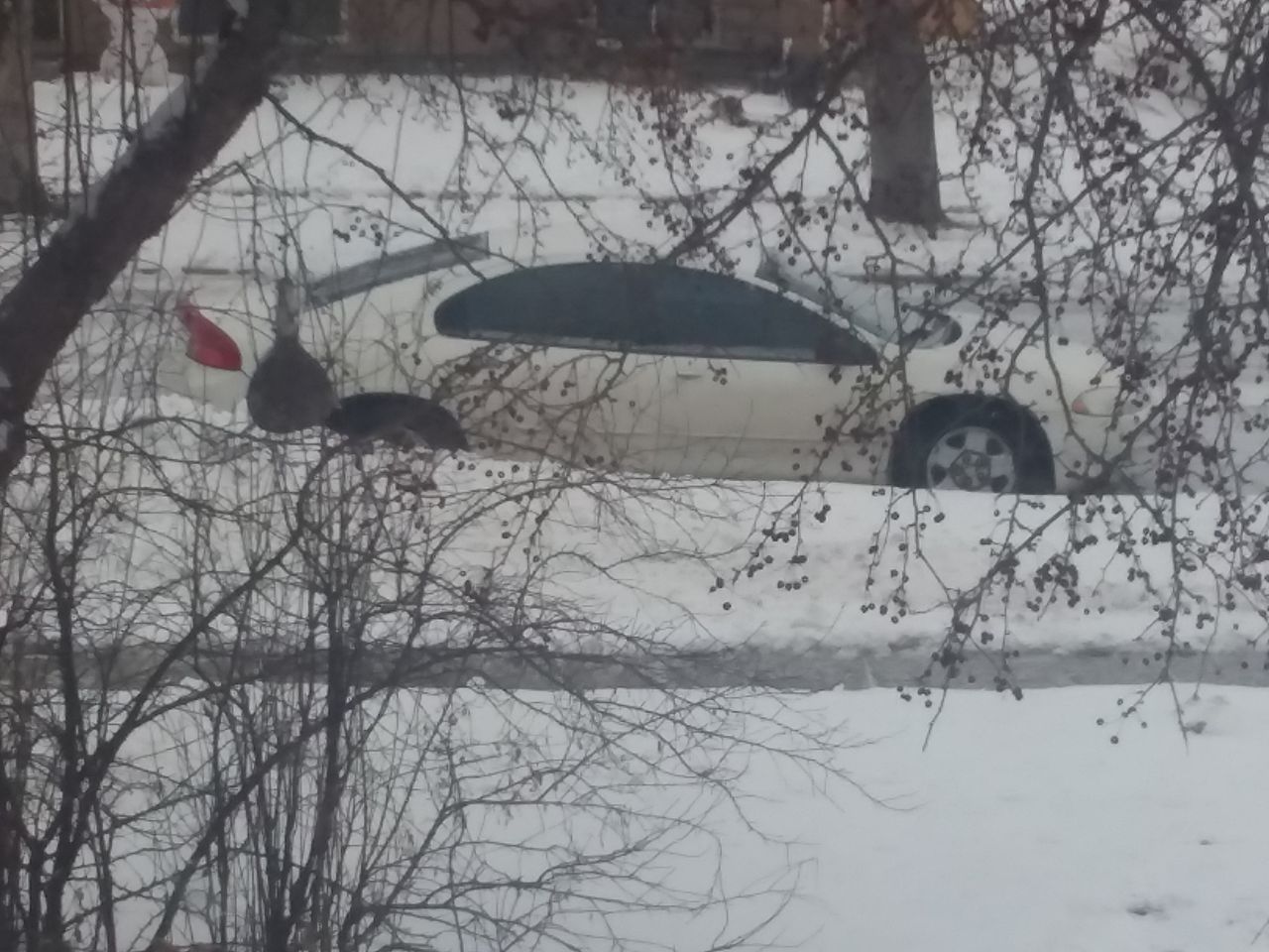 2004 Dodge Intrepid SE | Brandon, SD, Stone White Clearcoat (White), Front Wheel