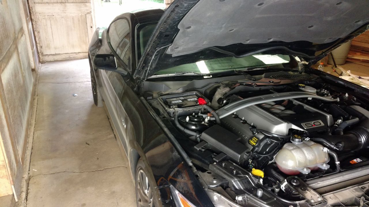 2015 Ford Mustang GT Premium | Parker, SD, Black (Black), Rear Wheel