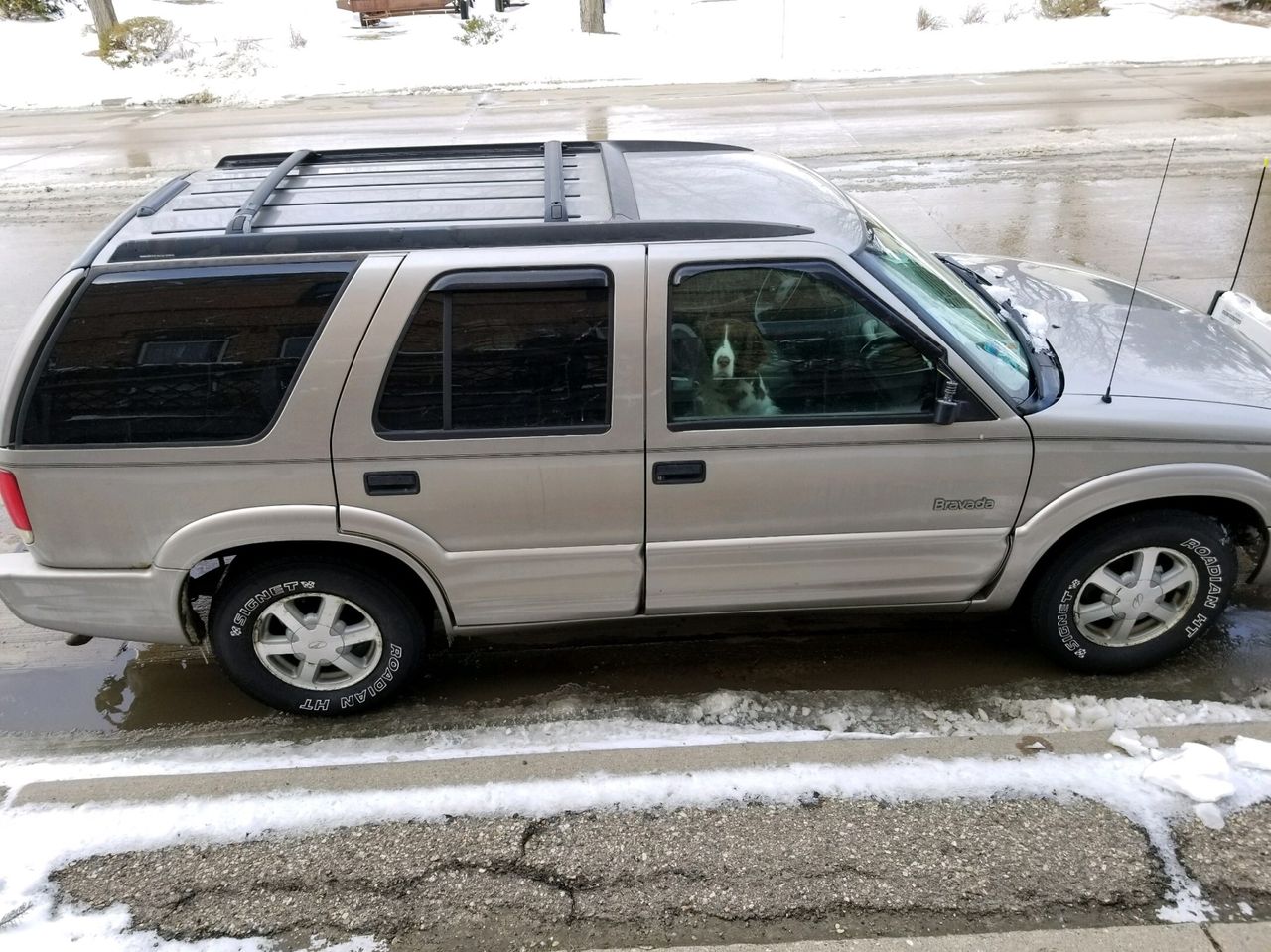 1999 Oldsmobile Bravada Base | Yankton, SD, Mocha Metallic (Brown & Beige), All Wheel