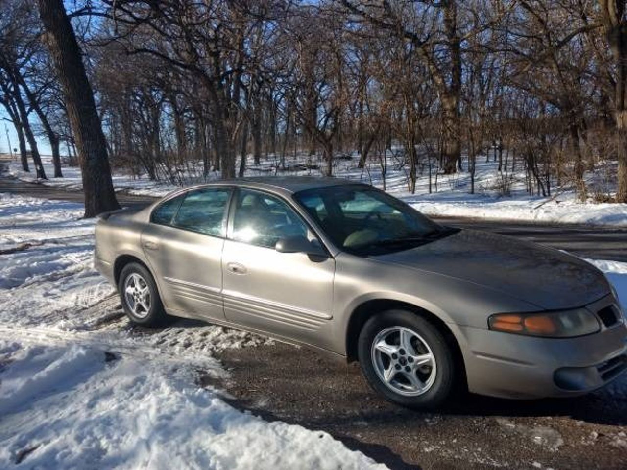 2002 Pontiac Bonneville SE | Ramona, SD, Light Bronzemist Metallic (Brown & Beige), Front Wheel