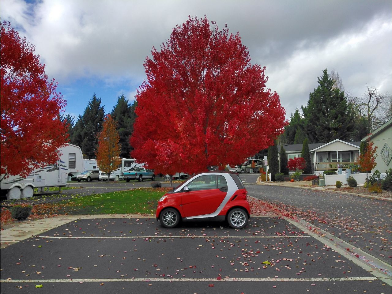 2008 Smart fortwo passion | Medford, OR, red metallic (Red & Orange), Rear Wheel