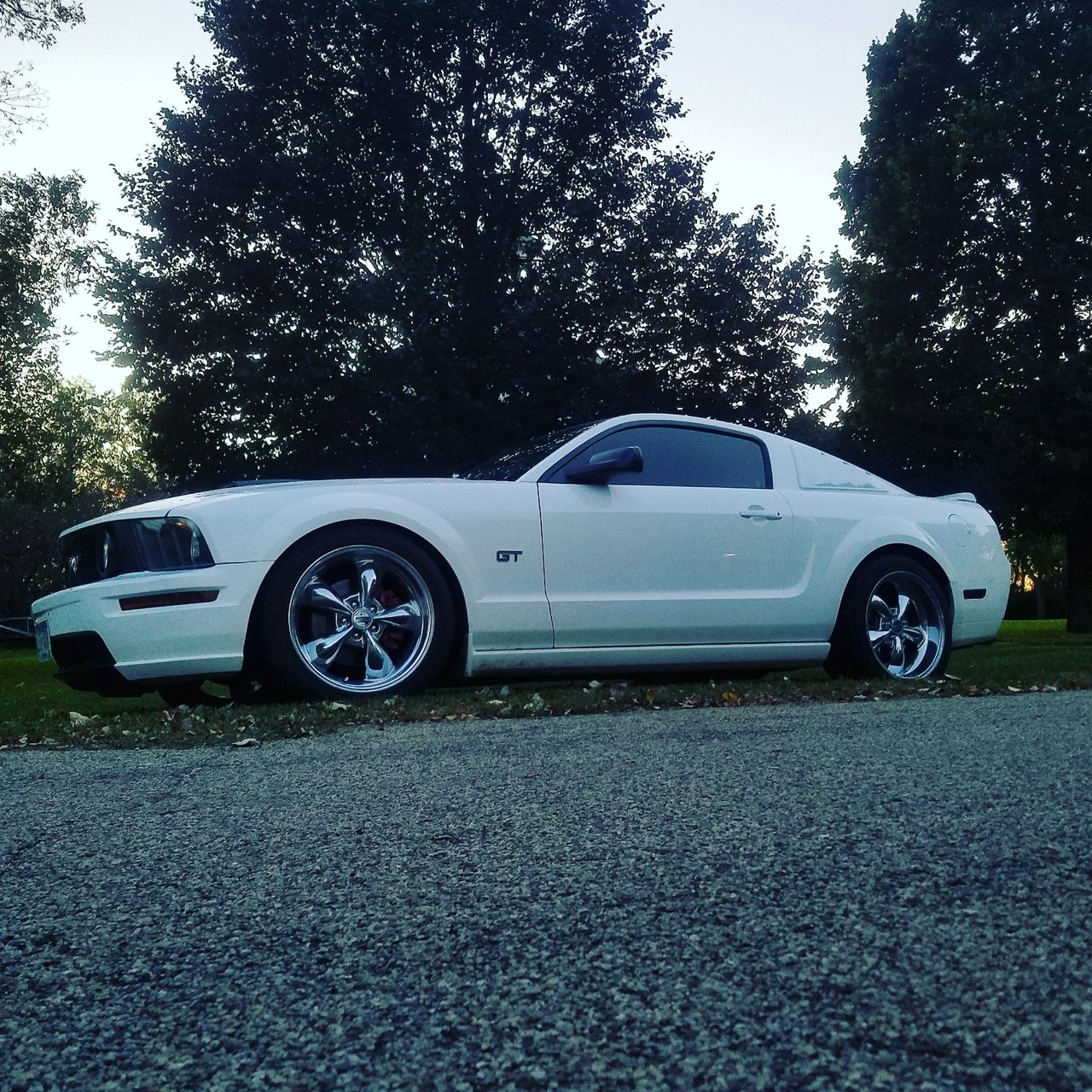 2007 Ford Mustang | Luverne, MN, Performance White Clearcoat (White), Rear Wheel