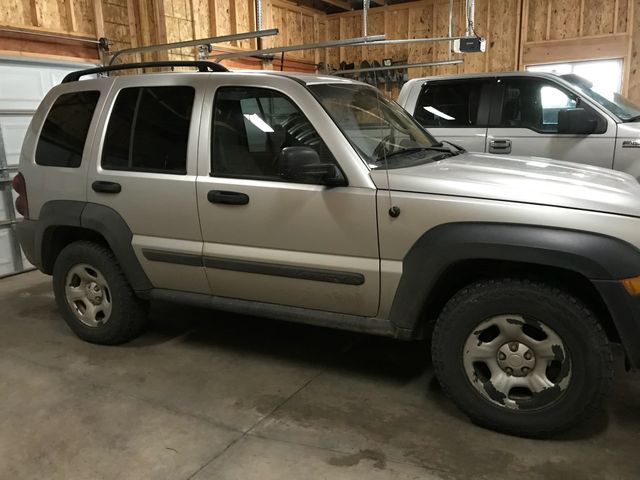 2002 Jeep Liberty, Bright Silver Metallic Clearcoat (Silver)