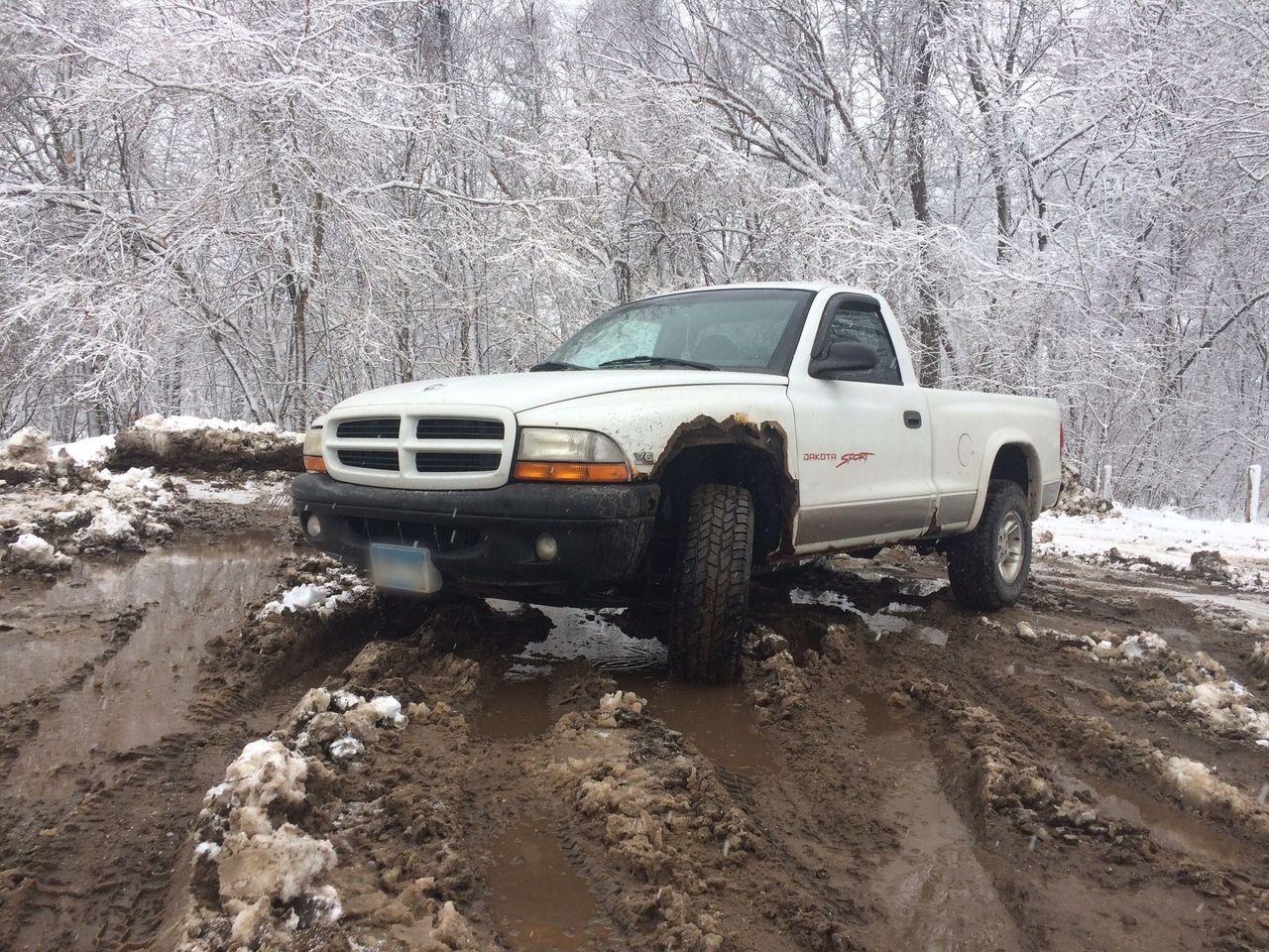 1999 Dodge Dakota | Winona, MN, Bright White Clearcoat (White), 4 Wheel