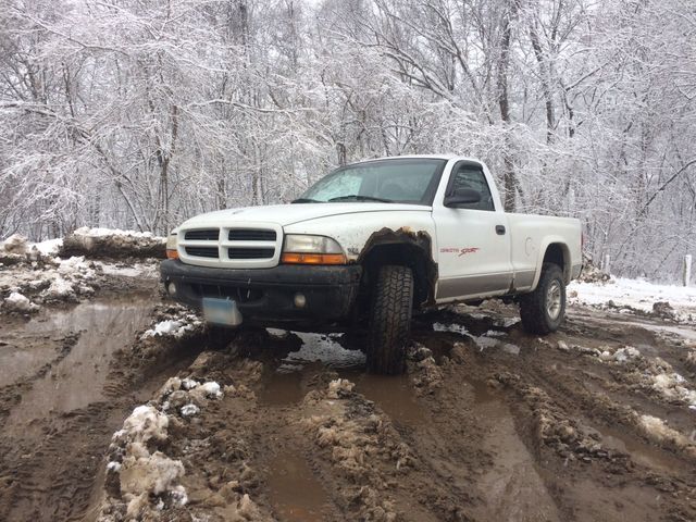 1999 Dodge Dakota, Bright White Clearcoat (White), 4 Wheel