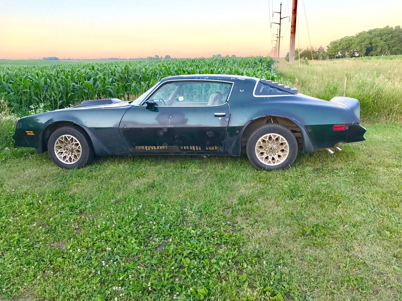 1978 Pontiac Firebird | Le Center, MN, Dark Green, Rear Wheel