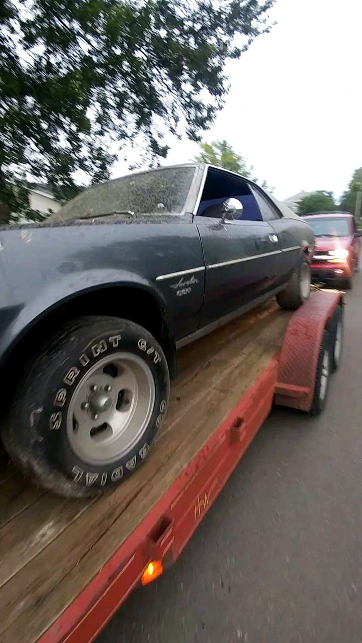 1968 AMC Javelin | Tripp, SD, Gray