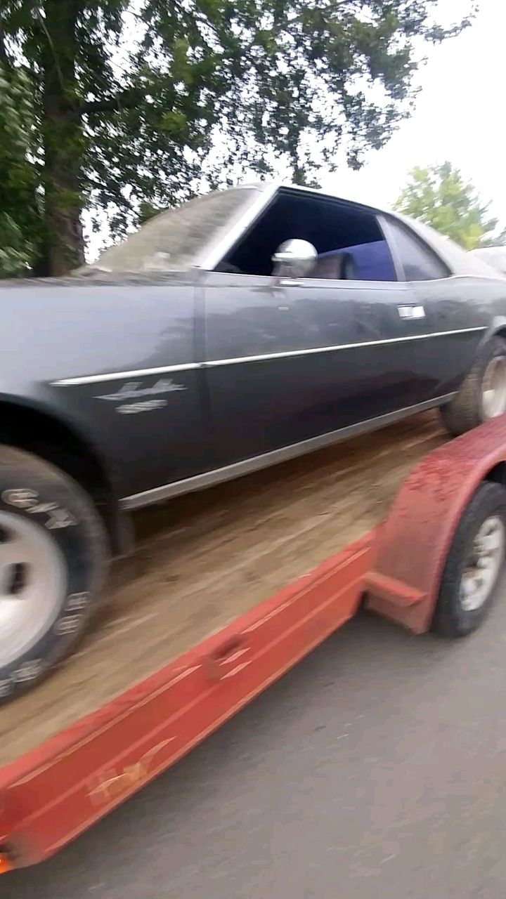 1968 AMC Javelin | Tripp, SD, Gray