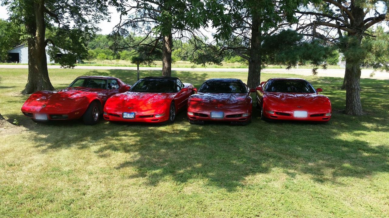 1998 Chevrolet Corvette Base | Hurley, SD, Maroon, Rear Wheel