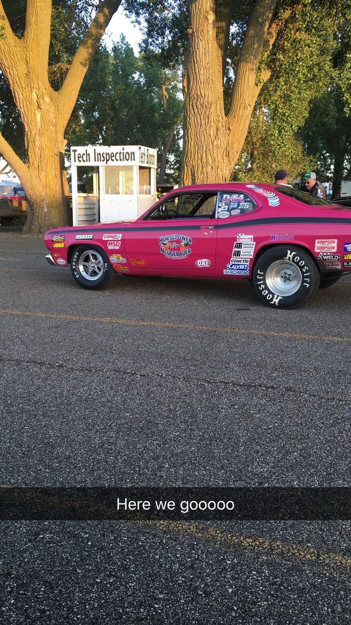 1971 Plymouth Duster | Mitchell, SD, Pink